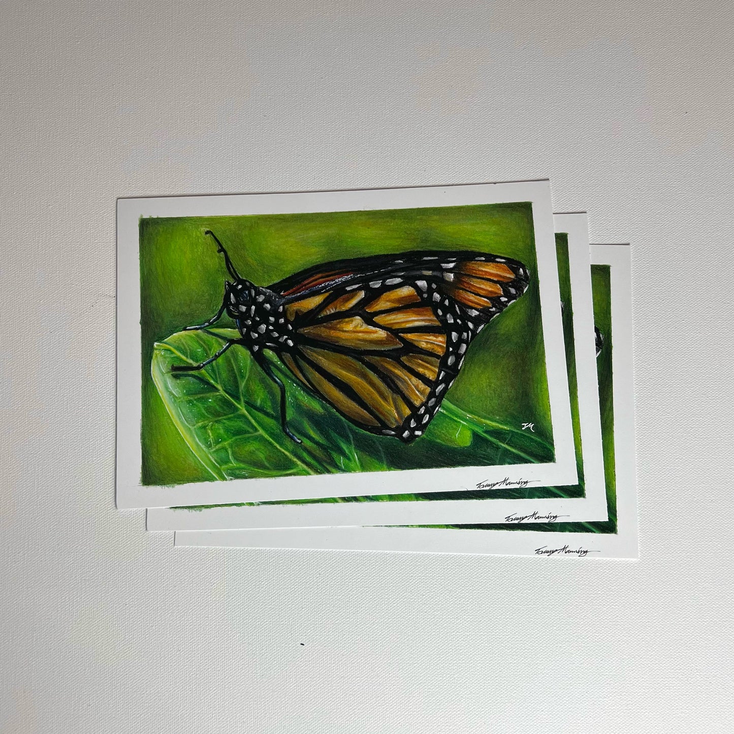 Butterfly - Poster Print