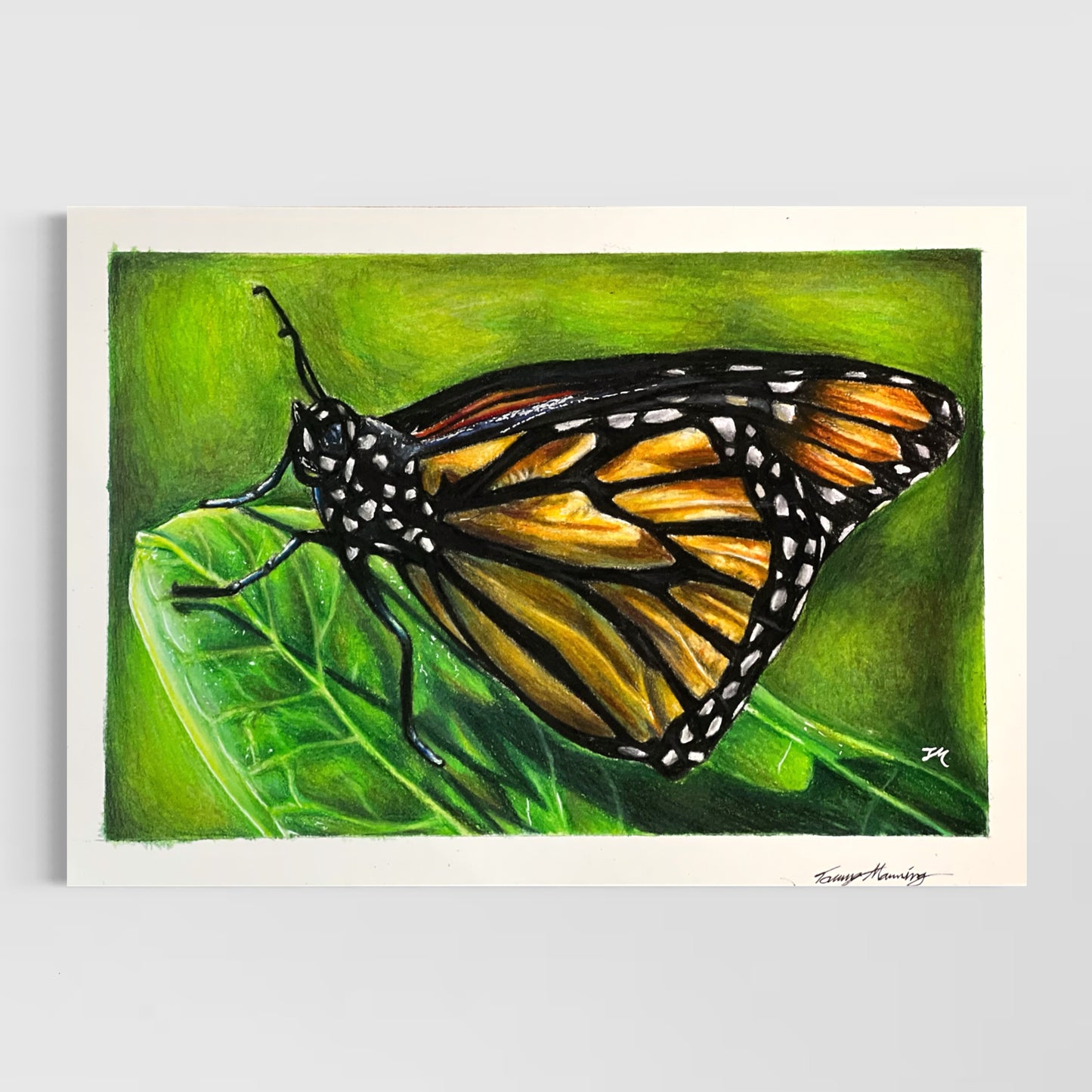 Butterfly - Poster Print