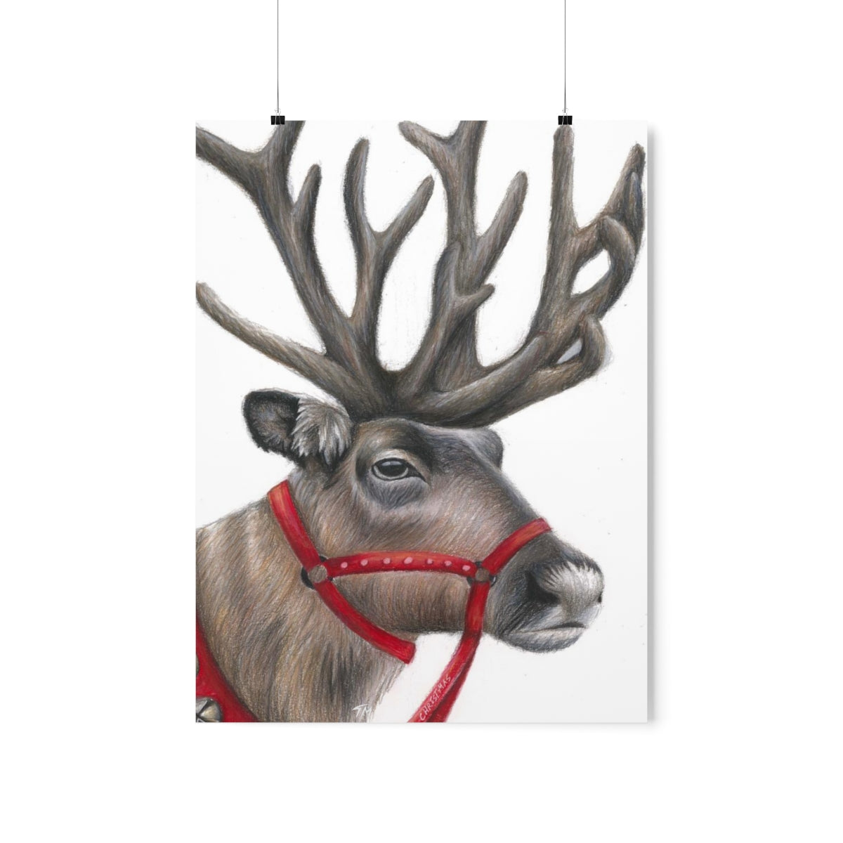 Reindeer - Fine Art Print - Tommy Manning Art