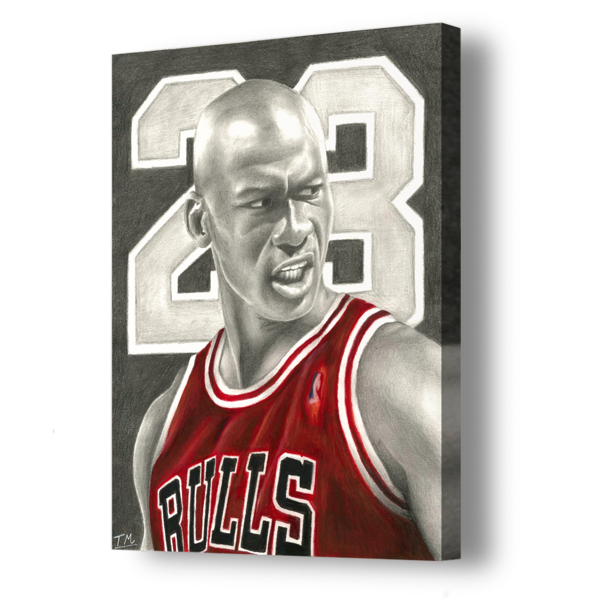 JORDAN - Canvas - Tommy Manning Art