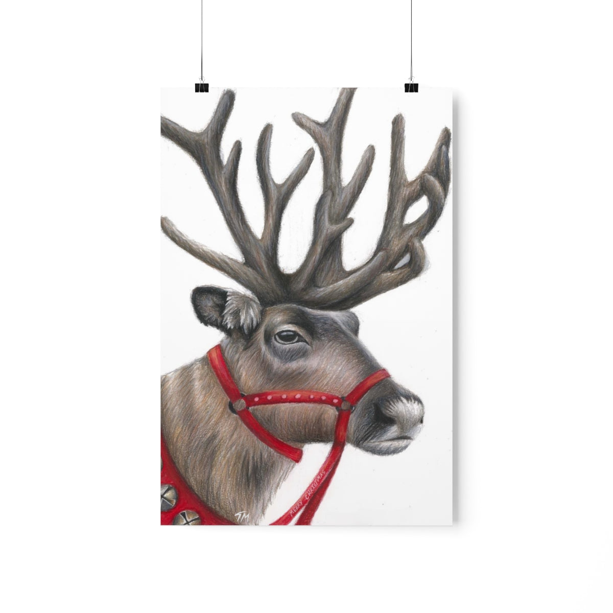 Reindeer - Fine Art Print - Tommy Manning Art