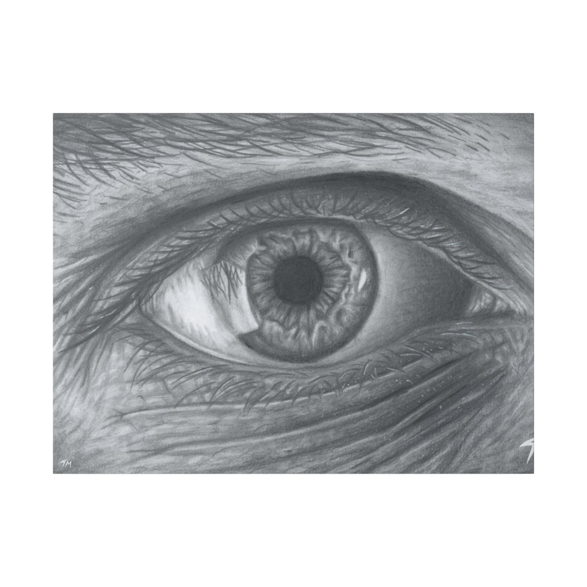 Keep An Eye On It - Canvas - Tommy Manning Art