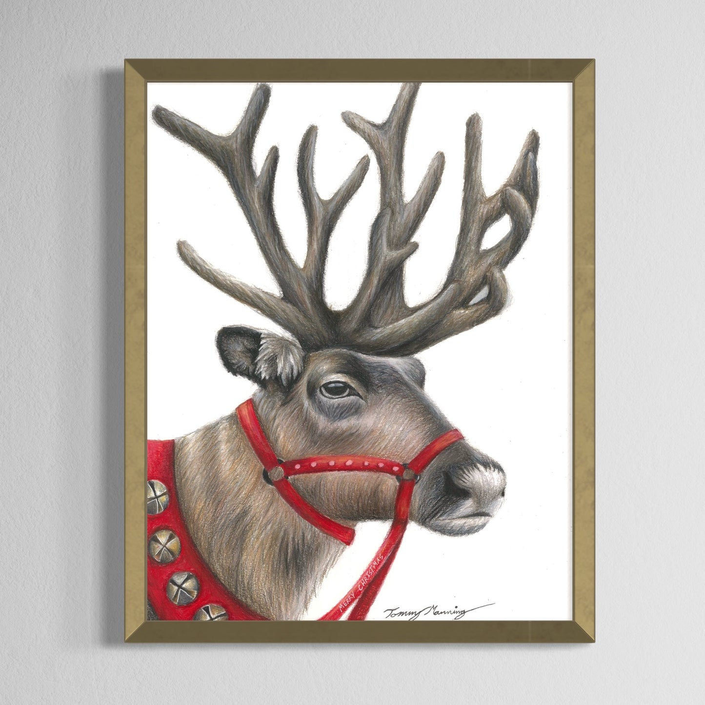 Reindeer - Framed Print