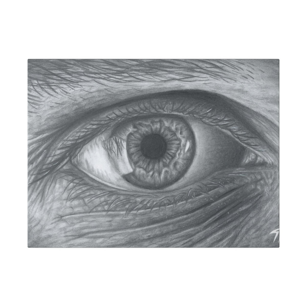 Keep An Eye On It - Canvas - Tommy Manning Art