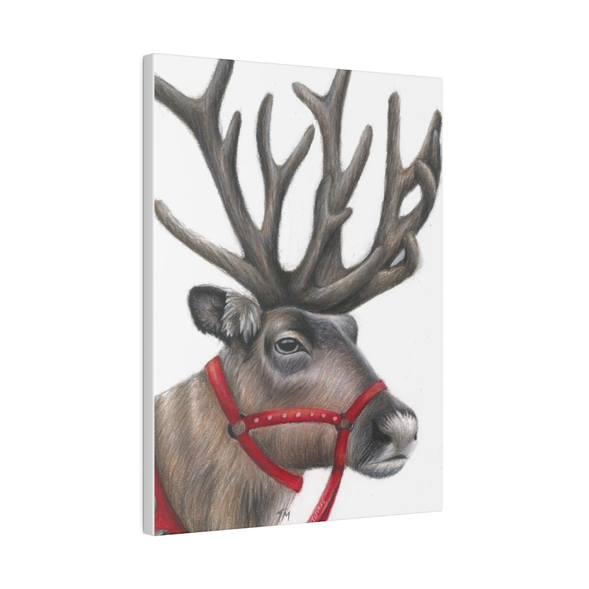 Reindeer - Canvas - Tommy Manning Art