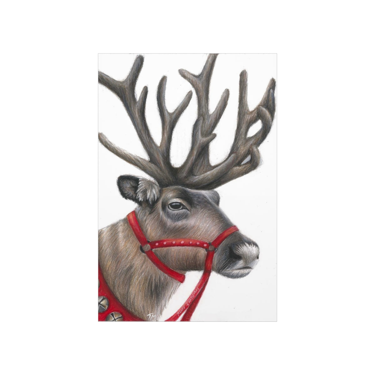Reindeer - Fine Art Print - Tommy Manning Art